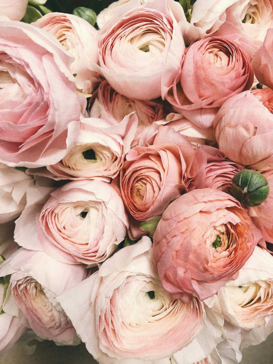 Beautiful flowers in Brunei